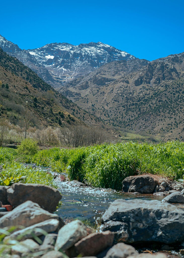 Villa des Orangers outdoor dining, Morocco